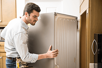 Behind appliances pest control