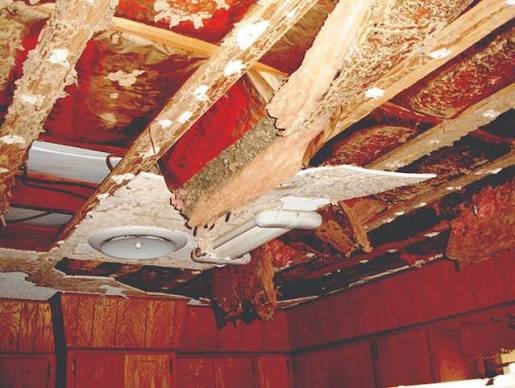False ceiling pest control