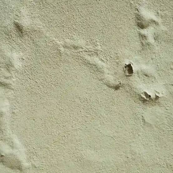 Blistering or Bubbling Paint
