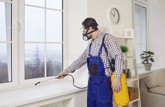 Window frames pest control